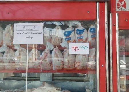 توزیع ۵ تن مرغ با قیمت مصوب در ۱۱ نقطه از شهرستان ری