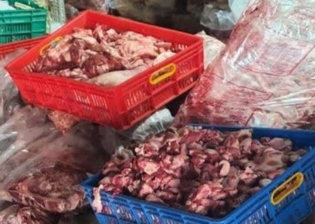 کشف ۴۰ تن فرآورده‌ خام دامی غیرمجاز در کهریزک/ پلمب سردخانه