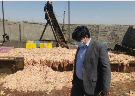 پلمپ کارگاه تهیه روغن‌های آرایشی از پوست مرغ در بخش قلعه نو