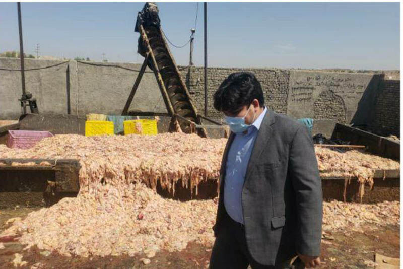 پلمپ کارگاه تهیه روغن‌های آرایشی از پوست مرغ در بخش قلعه نو