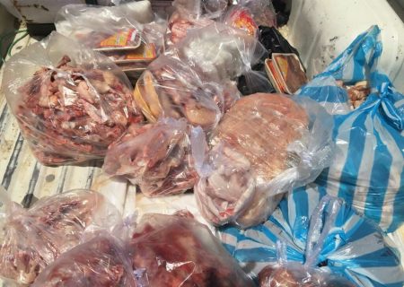 کشف ۷۰۰ کیلوگرم گوشت فاسد از یک واحد صنفی در شهرری