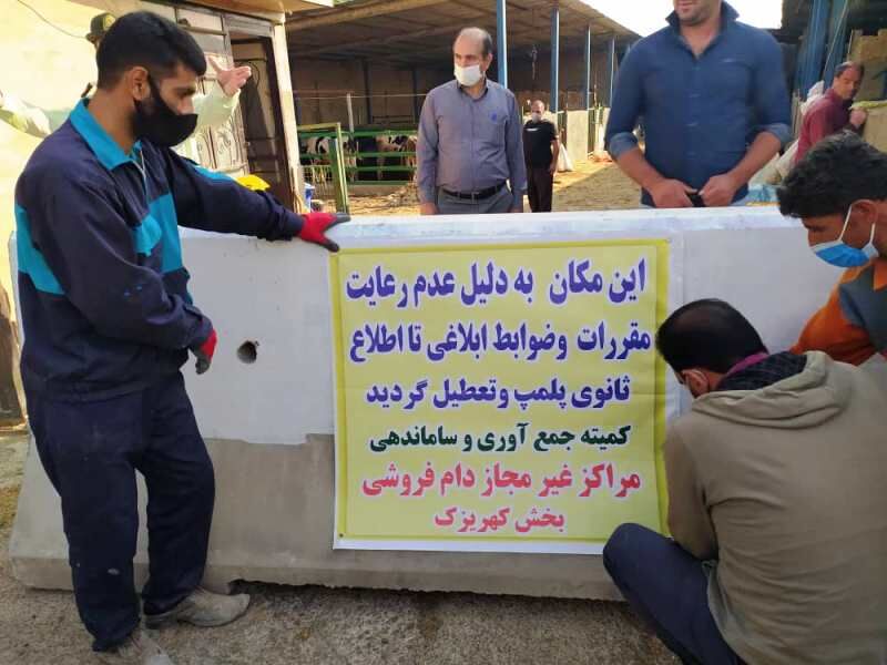 جمع آوری ۹ واحد غیرمجاز عرضه دام زنده در کهریزک