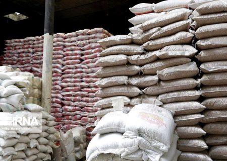 کشف بیش از ۹ تن مواد اولیه پتروشیمی قاچاق در شهرستان ری