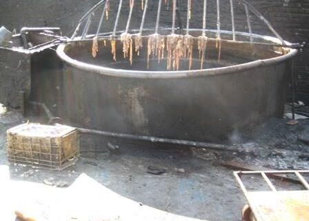 شناسایی ۲۶ واحد غیرمجاز روده پاک‌کنی حیوانات در بخش کهریزک