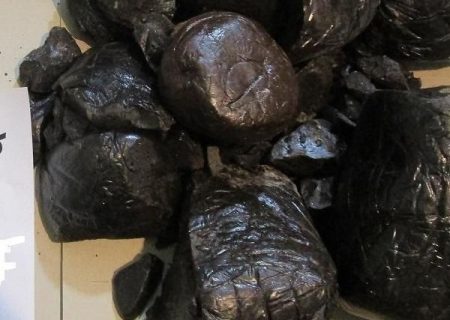 کشف محموله تریاک از یک منزل مسکونی در شهرری