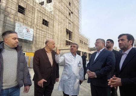 دومین روز سفر استاندار تهران به شهرستان ری + فیلم