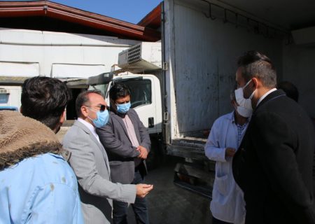 بازدید بخشدار و رییس دادگاه بخش کهریزک از کشتارگاه های این بخش / ۴ لاشه گوساله توقیف شد