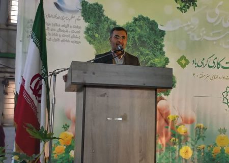 سرانه فضای سبز این منطقه بیش از میانگین شهر تهران است
