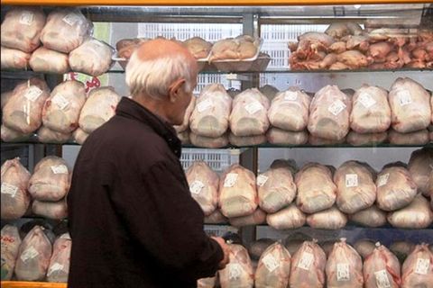 ۴۰۰ تن مرغ در شهرستان ری توزیع شد